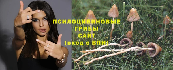 ешки Баксан