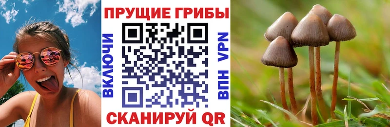 Псилоцибиновые грибы Magic Shrooms  даркнет сайт  Северо-Курильск 